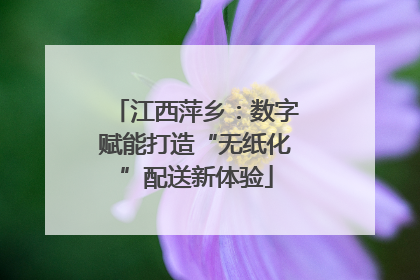 江西萍乡：数字赋能打造“无纸化”配送新体验
