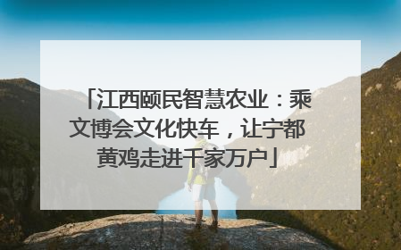 江西颐民智慧农业：乘文博会文化快车，让宁都黄鸡走进千家万户