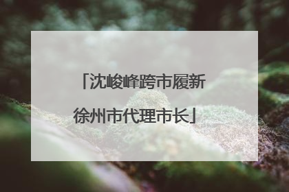 沈峻峰跨市履新徐州市代理市长