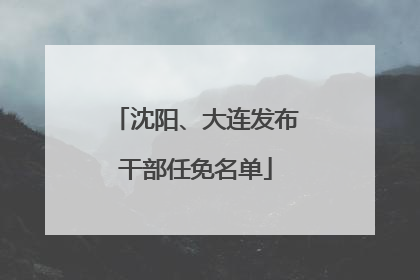 沈阳、大连发布干部任免名单