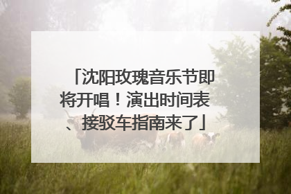 沈阳玫瑰音乐节即将开唱！演出时间表、接驳车指南来了