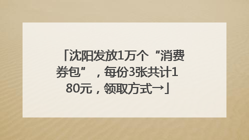 沈阳发放1万个“消费券包”，每份3张共计180元，领取方式→
