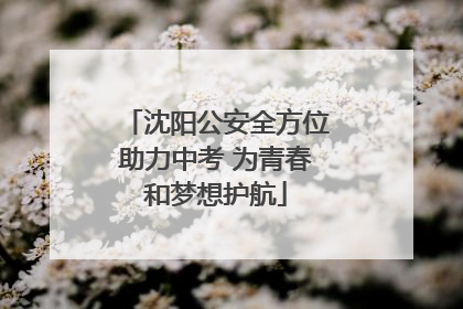 沈阳公安全方位助力中考 为青春和梦想护航