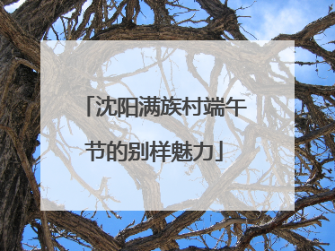 沈阳满族村端午节的别样魅力