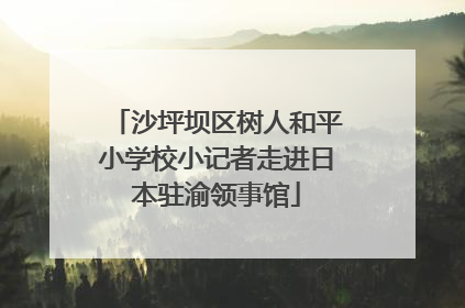 沙坪坝区树人和平小学校小记者走进日本驻渝领事馆