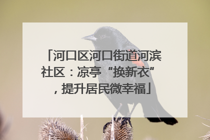 河口区河口街道河滨社区：凉亭“换新衣”，提升居民微幸福
