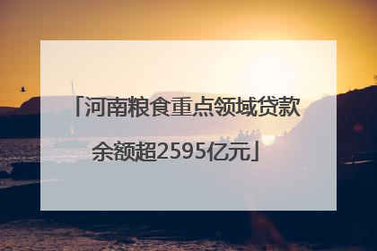 河南粮食重点领域贷款余额超2595亿元