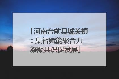 河南台前县城关镇：集智赋能聚合力 凝聚共识促发展