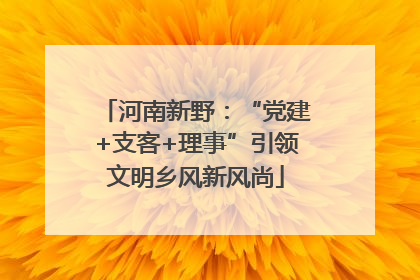 河南新野：“党建+支客+理事”引领文明乡风新风尚