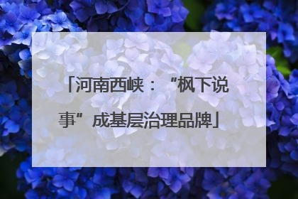 河南西峡：“枫下说事”成基层治理品牌