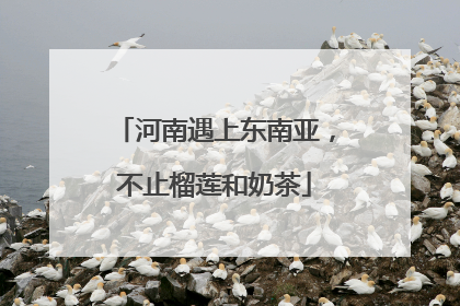 河南遇上东南亚，不止榴莲和奶茶