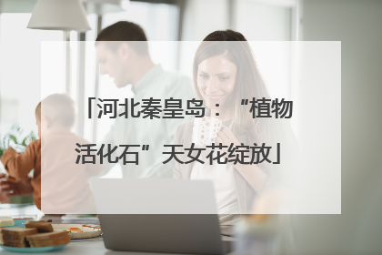 河北秦皇岛：“植物活化石”天女花绽放