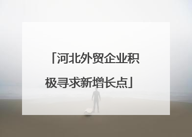 河北外贸企业积极寻求新增长点