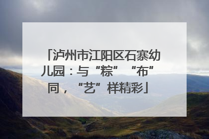 泸州市江阳区石寨幼儿园：与“粽”“布”同，“艺”样精彩