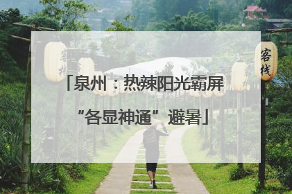 泉州：热辣阳光霸屏 “各显神通”避暑