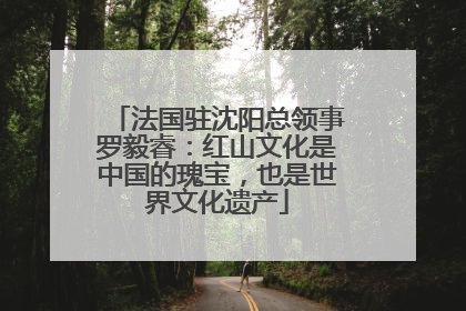 法国驻沈阳总领事罗毅睿：红山文化是中国的瑰宝，也是世界文化遗产