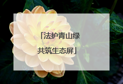 法护青山绿 共筑生态屏