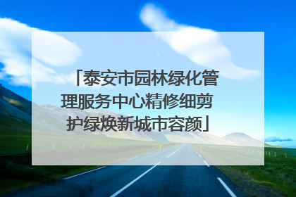 泰安市园林绿化管理服务中心精修细剪护绿焕新城市容颜