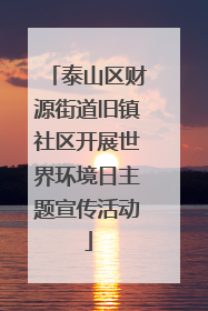 泰山区财源街道旧镇社区开展世界环境日主题宣传活动