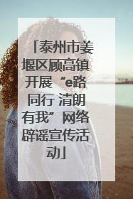 泰州市姜堰区顾高镇开展“e路同行 清朗有我”网络辟谣宣传活动