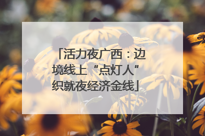 活力夜广西：边境线上“点灯人”织就夜经济金线
