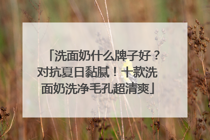 洗面奶什么牌子好？对抗夏日黏腻！十款洗面奶洗净毛孔超清爽