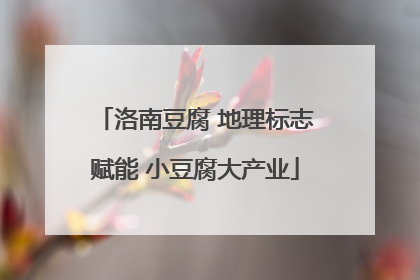 洛南豆腐 地理标志赋能 小豆腐大产业