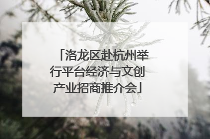 洛龙区赴杭州举行平台经济与文创产业招商推介会