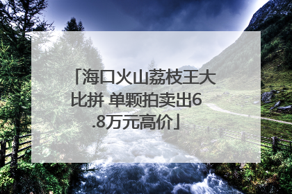 海口火山荔枝王大比拼 单颗拍卖出6.8万元高价
