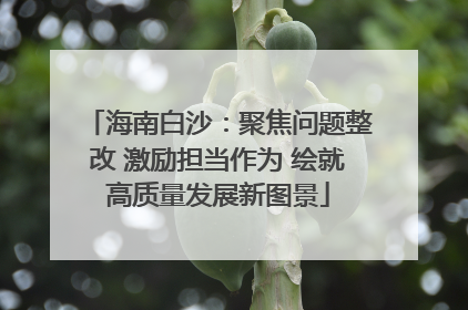 海南白沙：聚焦问题整改 激励担当作为 绘就高质量发展新图景