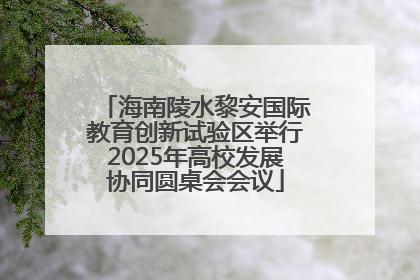 海南陵水黎安国际教育创新试验区举行2025年高校发展协同圆桌会会议