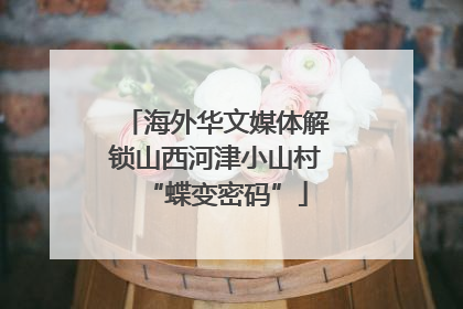 海外华文媒体解锁山西河津小山村“蝶变密码”
