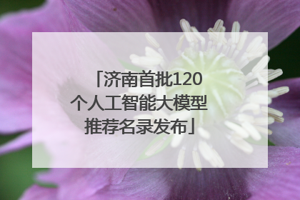 济南首批120个人工智能大模型推荐名录发布