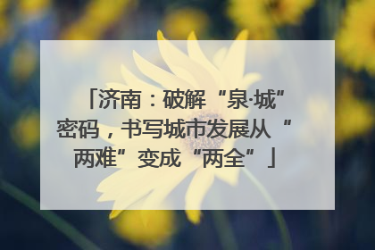 济南：破解“泉·城”密码，书写城市发展从“两难”变成“两全”