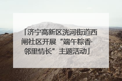 济宁高新区洸河街道西闸社区开展“端午粽香·邻里情长”主题活动
