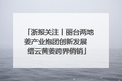 浙报关注丨丽台两地姜产业抱团创新发展 缙云黄姜跨界俏销