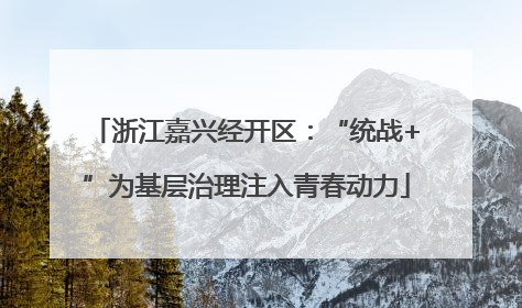 浙江嘉兴经开区：“统战+”为基层治理注入青春动力