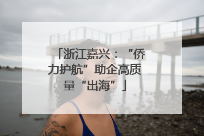 浙江嘉兴：“侨力护航”助企高质量“出海”