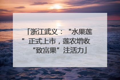 浙江武义：“水果莲”正式上市，莲农增收“致富果”注活力