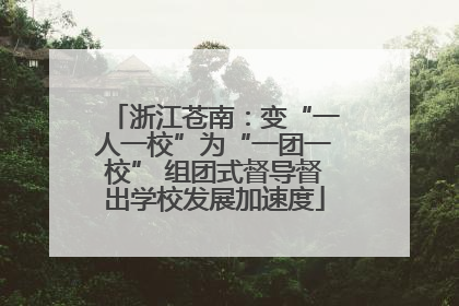 浙江苍南：变“一人一校”为“一团一校” 组团式督导督出学校发展加速度