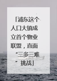 浦东这个人口大镇成立首个物业联盟，直面“三多三难”挑战