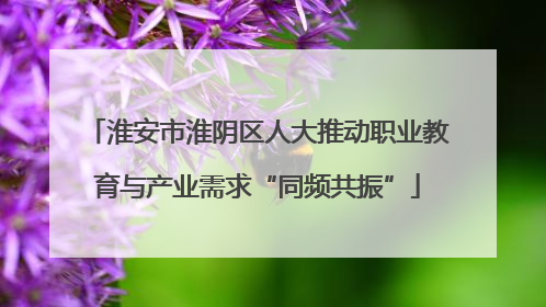 淮安市淮阴区人大推动职业教育与产业需求“同频共振”