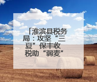 淮滨县税务局：攻坚“三夏”保丰收 税助“弱麦”尽归仓