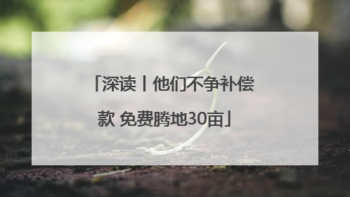 深读丨他们不争补偿款 免费腾地30亩