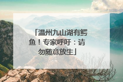 温州九山湖有鳄鱼！专家呼吁：请勿随意放生