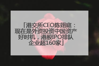 港交所CEO陈翊庭：现在是外资投资中国资产好时机，港股IPO排队企业超160家