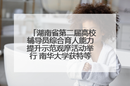 湖南省第二届高校辅导员综合育人能力提升示范观摩活动举行 南华大学获特等奖和一等奖