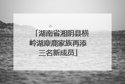 湖南省湘阴县横岭湖麋鹿家族再添三名新成员