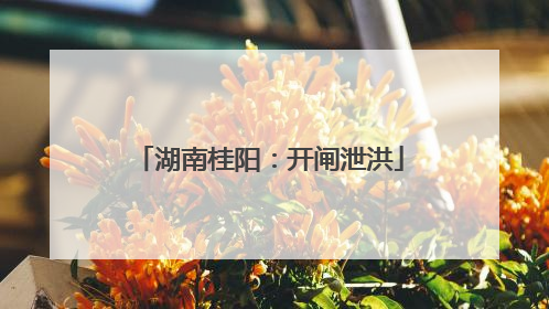 湖南桂阳：开闸泄洪