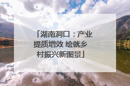 湖南洞口：产业提质增效 绘就乡村振兴新图景